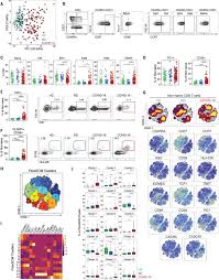 Maybe you would like to learn more about one of these? Deep Immune Profiling Of Covid 19 Patients Reveals Distinct Immunotypes With Therapeutic Implications Science