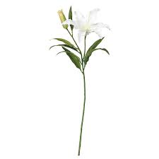 Flowers are uplifting, whether you look at them irl or in a photo. Smycka Artificial Flower Lily White 85 Cm Ikea