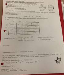 Set up a punnett square using the following information: Worksheet Dihybrid Crosses Answers Collection Of Worksheet 16 Dihybrid Cross Reteaching Skills Answers From Dihybrid Cross Worksheet Answers Source Wanna Be A Sultanah