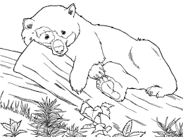 Cute Panda Bear Coloring Pages For Kids Disney Coloring Pages Bear Coloring Pages Butterfly Coloring Page Animal Coloring Pages
