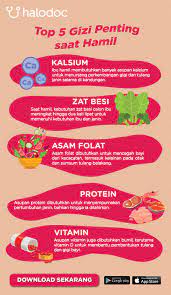 Konsumsi makanan yang mengandung mineral dan vitamin saat hamil, sangatlag bagus untuk ibu hamil dan bayi. 4 Makanan Kaya Kalsium Yang Baik Untuk Ibu Hamil