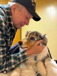 Loss of beloved pet Stella, condolences and support