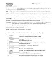 Whether you may be an operator of a tiny venture or perhaps giant corporation, it is important for potential clients in order to reach you therefore conversation is critical. Kami Export Robert Pierce Meiosis Worksheet 2 Doc Pdf Robert Pierce Name Meiosis Worksheet Chapter 12 Sec 4 Biology Term B Define The Following Course Hero