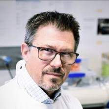 Professor Frederic Meunier