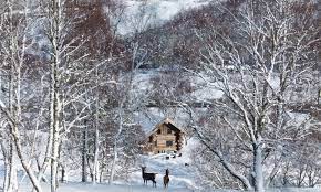 Uk Cabins And Glampsites That Are Great In Winter Camping Holiday Winter Cabin Uk Campsites