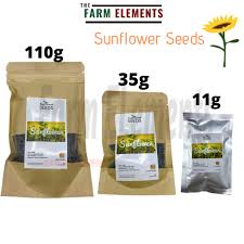 Biji bunga matahari yang digunakan adalah biji bunga matahari jenis hopi black dye atau royal hybrid. Microgreens Sunflower Seeds Non Gmo 11g 35g 110g Benih Bunga Matahari