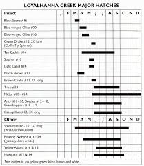 Pa Fly Fishing Hatch Chart Image Of Fishing