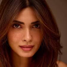 Chhaava On Netflix: Meet Zinat-un-Nissa ...