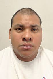 Driver flees after accident