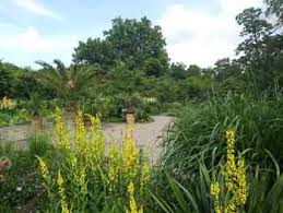 Weitere gärten und parkanlagen in hessen: Botanischer Garten In Kassel Ausflugsziele Fur Kinder In Hessen