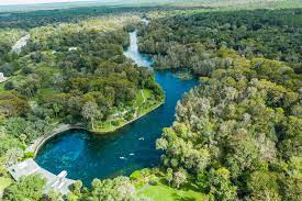 How to get tosilver springs state park. Top 5 Things To Do At Silver Springs State Park Get Up And Go Kayaking