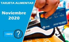 Todo lo que necesitás saber sobre tarjeta alimentar en argentina y en el mundo. Tarjetas Alimentarias Noviembre 2020 Pago Doble