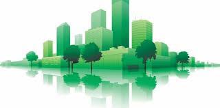 Image result for Tricliceras lanceolatum