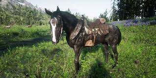 Arguably The Bravest Arabian In The Game : R/Reddeadredemption
