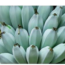 When ripe, the fruit turn yellow and have a soft, sweet flesh. Lovegrown Seedlings Garden 3 Gallon Blue Java Ice Cream Bananas Are For Sale Send Us A Message On Here Or On Our Facebook Page Az Phoenix Forsale Banana Icecream Garden