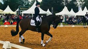 Keine registrierung notwendig, einfach kaufen. Lisa Muller The Success Of The Giant Dressage For The Star Of Von Bayern Thomas Sport Mix