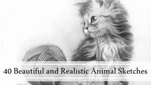 We did not find results for: 40 Beautiful And Realistic Animal Sketches For Your Inspiration