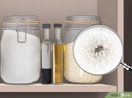 How do bugs get into sealed packages? Easy Ways To Get Rid Of Pantry Bugs Wikihow