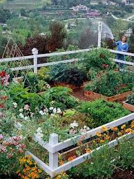 Besserina Garden Aspirations Absolutely Love This Garden Layout Vegetable Vegetable Garden Design Small Vegetable Gardens
