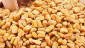 فوائد الحلبة للكلى