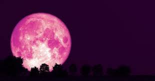 You can see april's pink moon, the first supermoon of 2021, on april 26 at 11:32 p.m. Yk11s9dehhhqsm