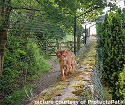 As such, there won't be any necessity of administering an electric current. Fencing In Your Garden International Cat Care