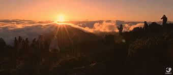 This collection includes beautiful good morning images of nature and animals. Sunrise Gif Gfycat