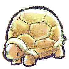 Down To Earth By Raindropmemory Turtle Icon Turtle Icon