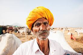 20+ Gray Hair Farmer Fine Art Portrait Senior Men Stock Photos, Pictures &  Royalty-Free Images