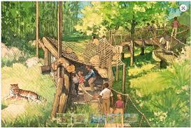 San Diego Zoo Safari Park Tiger Trail Concept Sketch Zoo Architecture San Diego Zoo Safari Park Zoo Park