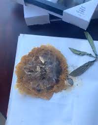 To prevent mold, space out the blooms so that air circulates. Easy Pressed Flowers Art Diy Darling