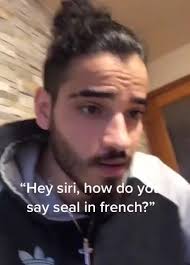 Ses cheveux sont courts, le dos et mous. Hey Siri How Do Y Say Seal In French Ifunny
