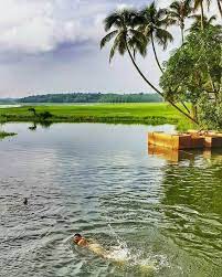 Natural Beauty Good Morning Kerala God S Own Country Beautiful Nature Nature Kerala