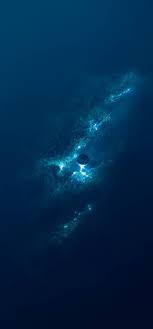 Vivo expands business in europe. Vivo Tapete Wasser Meeresbiologie Blau Aqua Meer 24021 Wallpaperuse