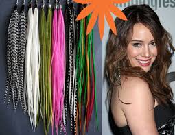 The top countries of suppliers are pakistan. Feather Hair Extensions Chicago Il Lakeview