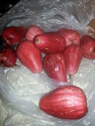Pumarosas O Pomarosas Ricas Mmmm Strange Fruit Seed Pods Fruit