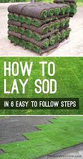 How To Lay Sod In 6 Easy To Follow Steps The Garden Glove How To Lay Sod Diy Lawn Sod Installation