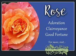With such different cultural associations for color the world over, it's important to have a base understanding of. Rose Meaning Symbolism June Birth Flower Flower Meanings