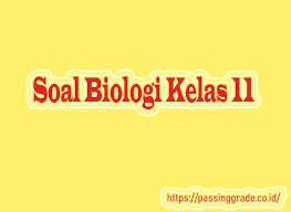 Check spelling or type a new query. Soal Biologi Kelas 11 Semester 1 2 Beserta Jawabannya