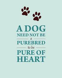  49 Animal Lover Quotes Ideas Animal Lover Words Dog Quotes