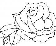 coloriage roses gratuit a imprimer ailes de feu