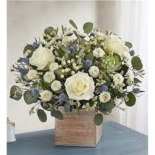 We did not find results for: 1 800 Flowers Kisses From Heaven Bouquet Iowa City Ia
