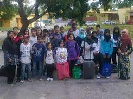 Pin On Dolphin Seremban