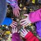 Nature Club - Dingwall Library