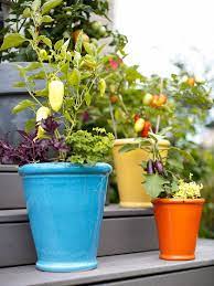 19 Ways To Grow Vegetables In Containers That Will Look As Gorgeous As They Taste Growing Vegetables Growing Vegetables In Containers Container Gardening Vegetables
