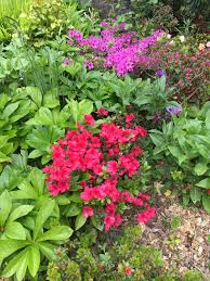 Epingle Par Mysrose Sim Sur Jardin Kerfot Jardins