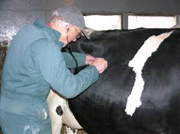 Longtime veterinarian mourned