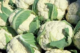 We did not find results for: 7 Health Benefits Of Cauliflower Leaves Wellness Munch