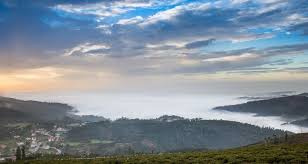 3,799 likes · 1 talking about this. Municipio De Vale De Cambra Caraterizacao