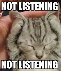 NOT LISTENING, NOT LISTENING | Funny animal memes, Cute cats, Cute ...